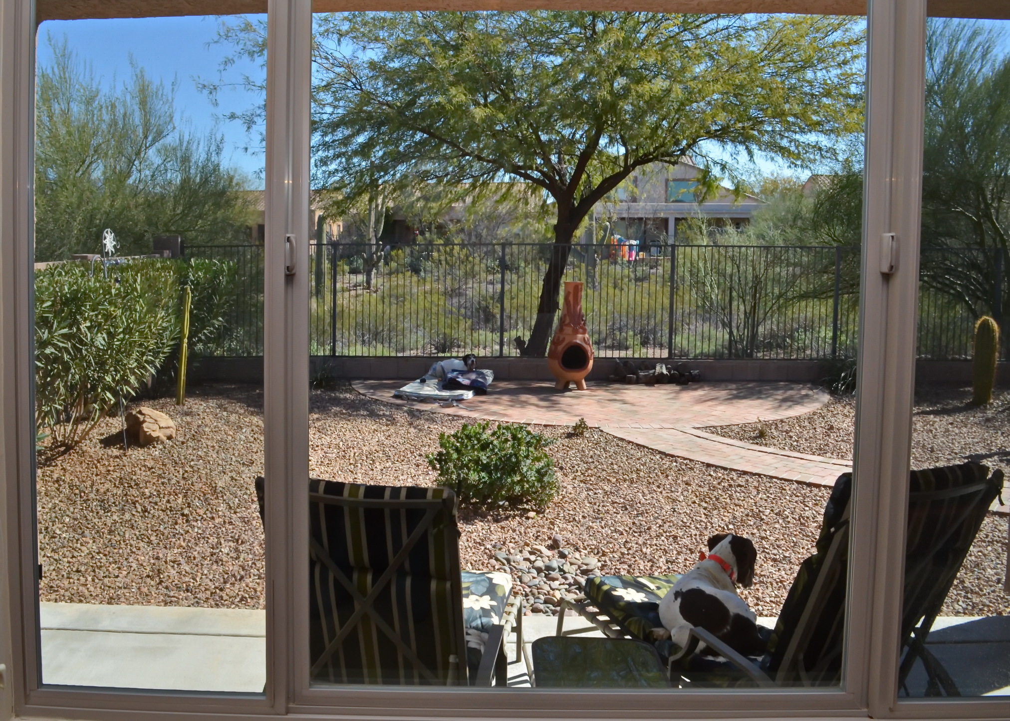 Continental Reserve Home for Sale in Marana